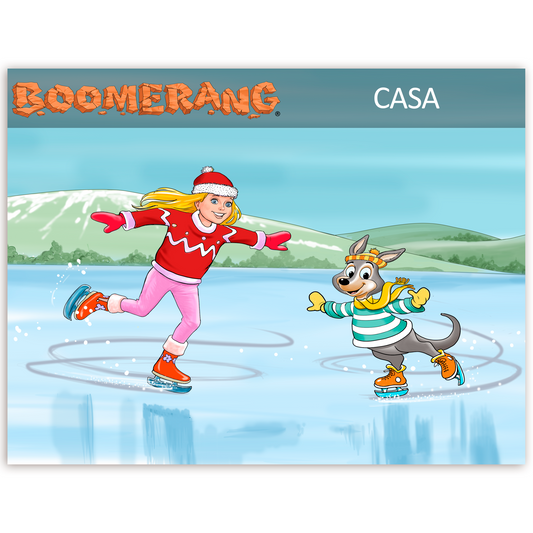 Programa Boomerang Casa