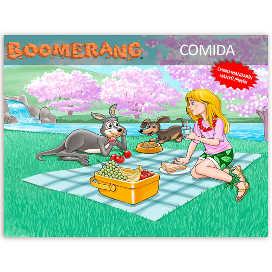 Programa Boomerang Comida - Chino Mandarín Hànyǔ Pīnyīn