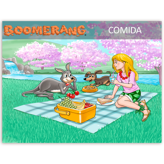 Programa Boomerang Comida