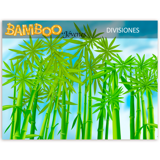 Programa Bamboo Jóvenes Divisiones