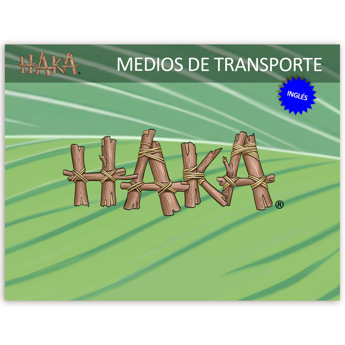 Programa Haka Medios de Transporte